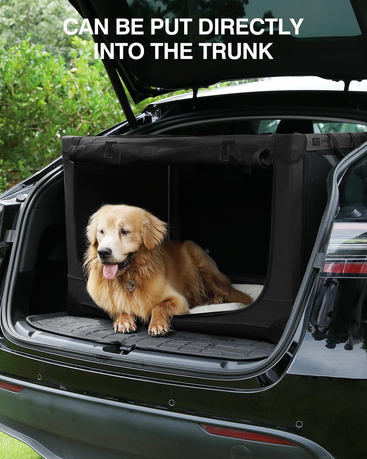 24-Inch Collapsible Travel Dog Crate, Portable 4-Door Soft Kennel for Medium to Large Dogs, Durable Mesh Windows, Indoor/Outdoor Use, Foldable, with Storage Bag (Black)