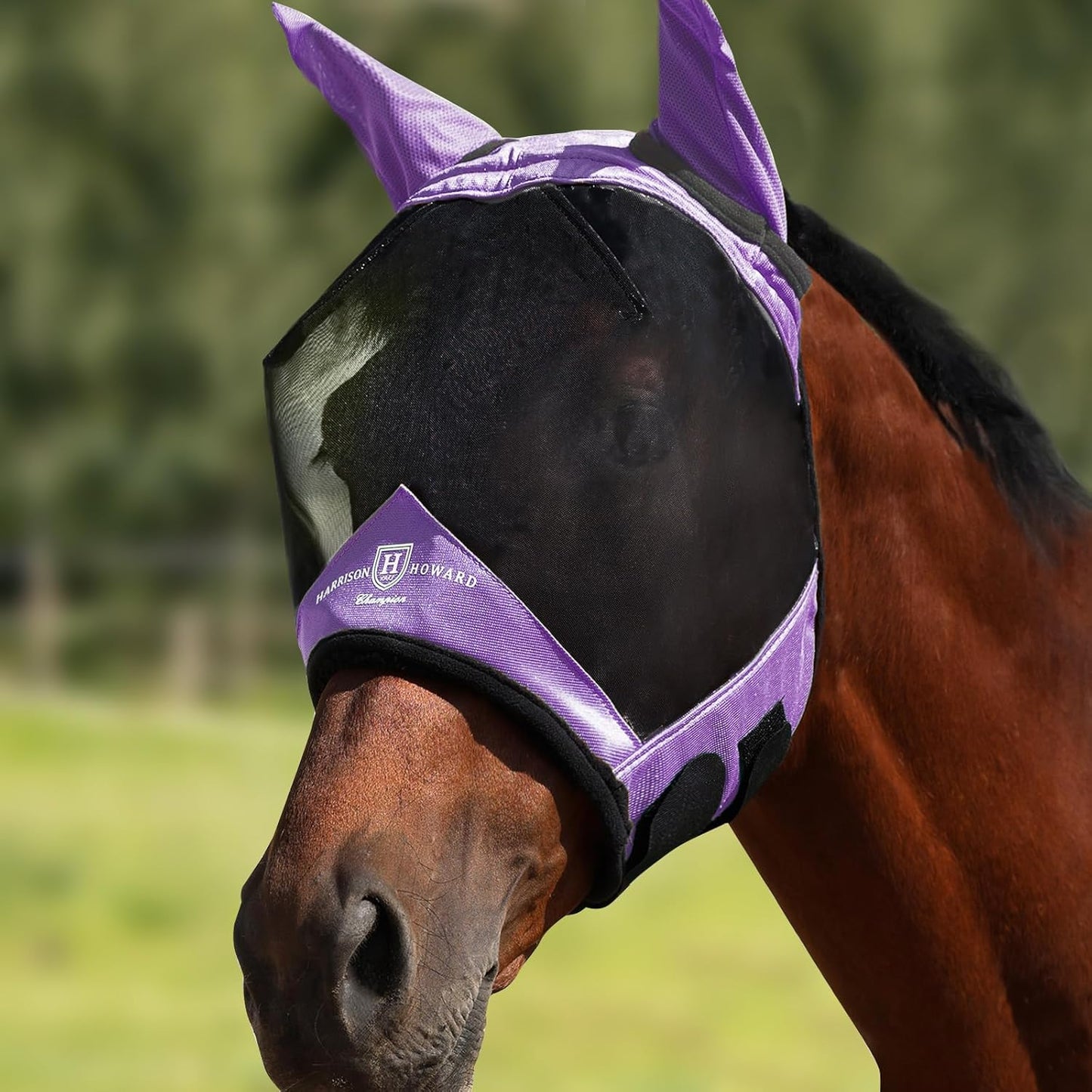 Harrison Howard Pro Luminous Horse Half Face Fly Mask Large Eye Space with Ears UV Protection for Horse Gentle Lavendar S