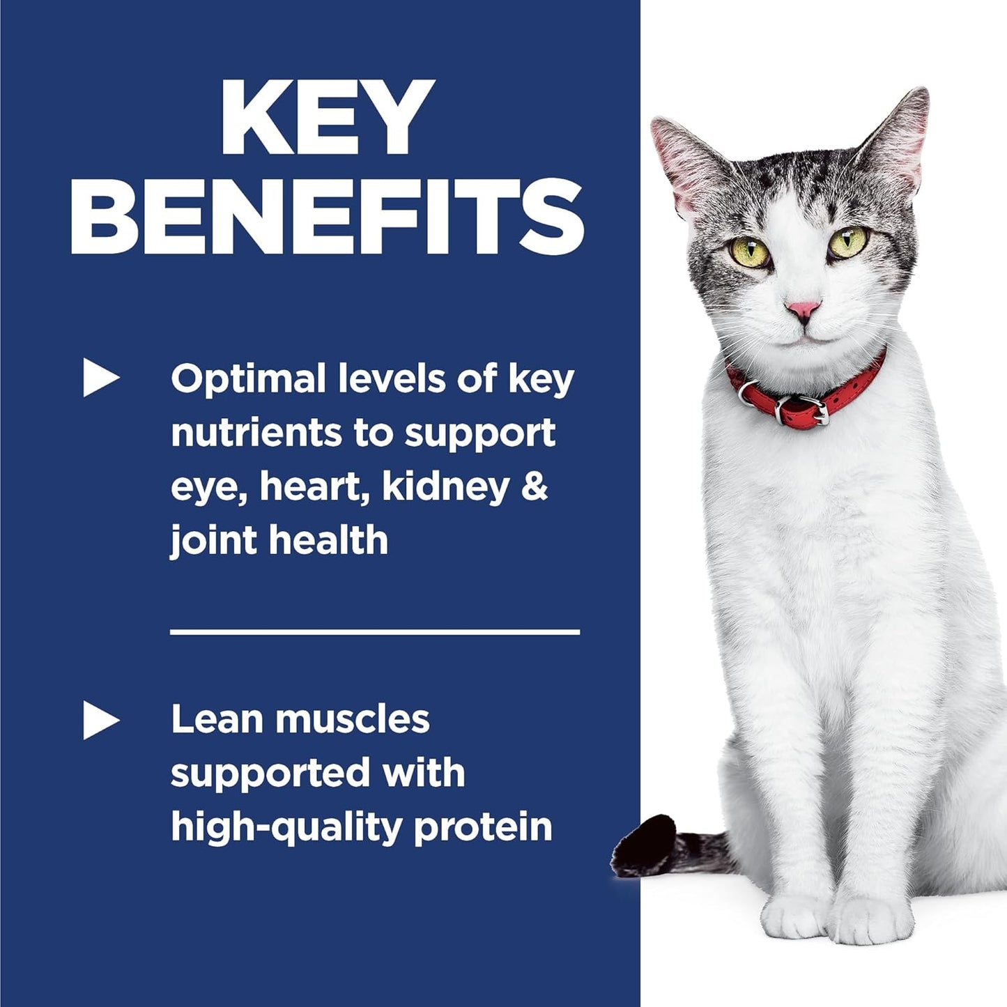 Hill's Science Diet Adult 11+, Senior Adult 11+ Premium Nutrition, Dry Cat Food, Chicken Recipe, 15.5 lb Bag