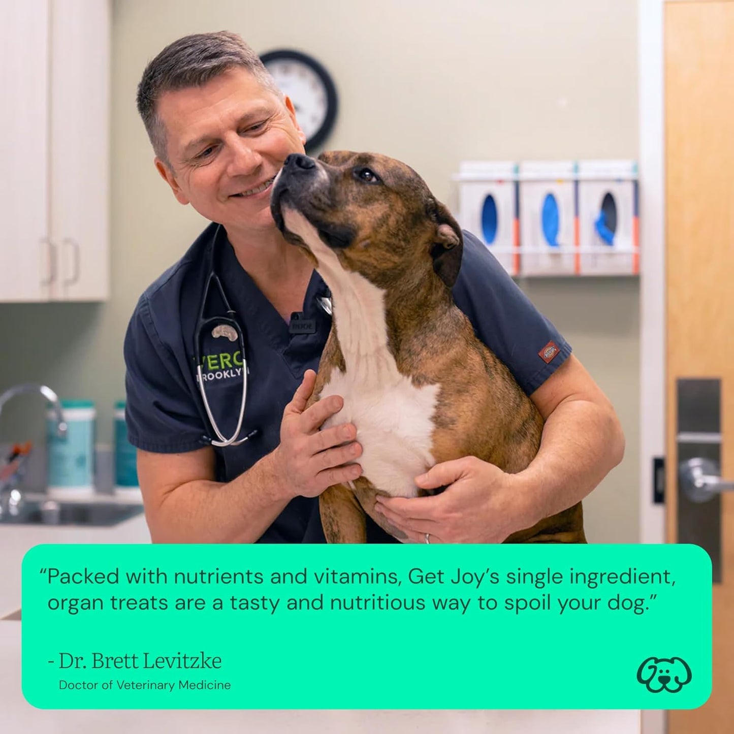 Get Joy Freeze Dried Superfood 100% Beef Kidney Dog Treats, 4 Ounce Bag (Pack of 3), Single Ingredient Organ Meat, High Protein, Immune Health, Muscle Repair, Grain Free, Gluten Free, Made in USA