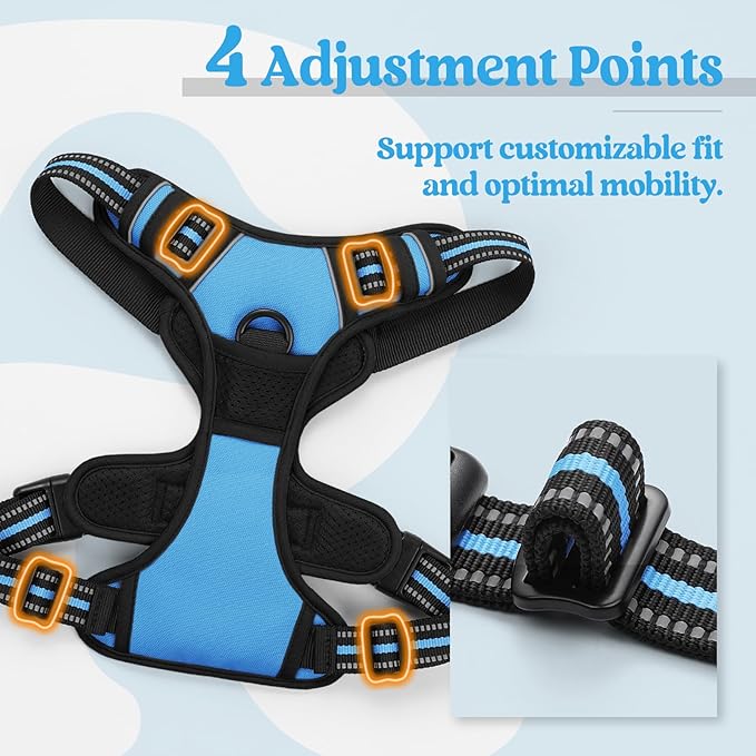 rabbitgoo Dog Harness No Pull with 2 Leash Clips, Adjustable Soft Padded, Reflective Oxford No Choke Pet Vest with Easy Control Handle for Large Dogs, Blue, XL