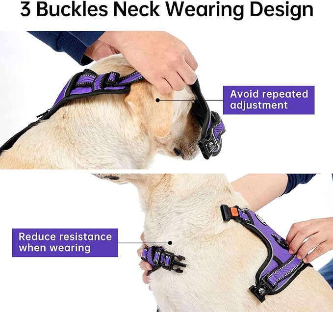 IVY&LANE No Pull Dog Harness for Medium Dogs, Dog Vest Harness with Leash, Safety Belt and Storage Strap, Fully Adjustable Harness, 360° Reflective Strip, Soft Handle (Purple, M)