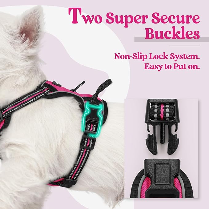 rabbitgoo Dog Harness No Pull with 2 Leash Clips, Adjustable Soft Padded, Reflective Oxford No Choke Pet Vest with Easy Control Handle for Puppy, Hot Pink, XS