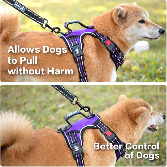 PoyPet No Pull Dog Harness, No Choke Front Clip Reflective Dog Vest with Soft Padded Vertical Handle, 3 Leash Attachments for Small Medium Large Dogs (Purple,M)