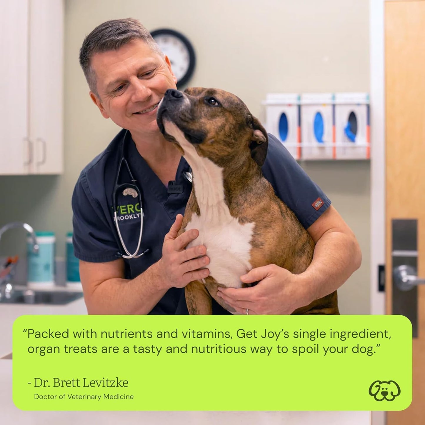 Get Joy Freeze Dried 100% Beef Heart Dog Treats, 4oz | Single Ingredient Organ Meat, High Protein Raw Dog Food Topper, Snack & Training Rewards | Grain Free, Gluten Free, Filler Free