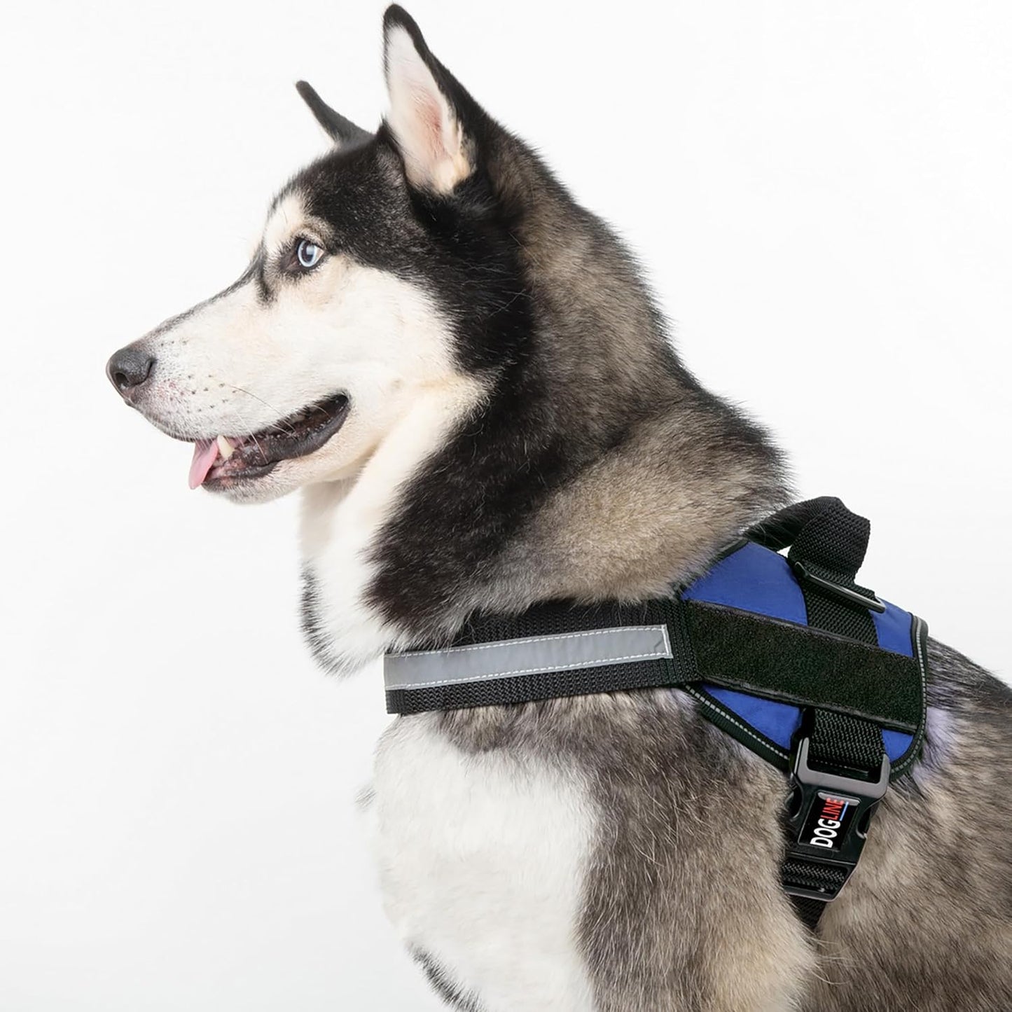 Dogline Dog Harness, Reflective No-Pull Adjustable Vest with Handle for Walking, Training, Breathable, No - Choke Harness for Small, Medium or Large Dogs Room for Patches Girth 22"-28" in Cyan Blue