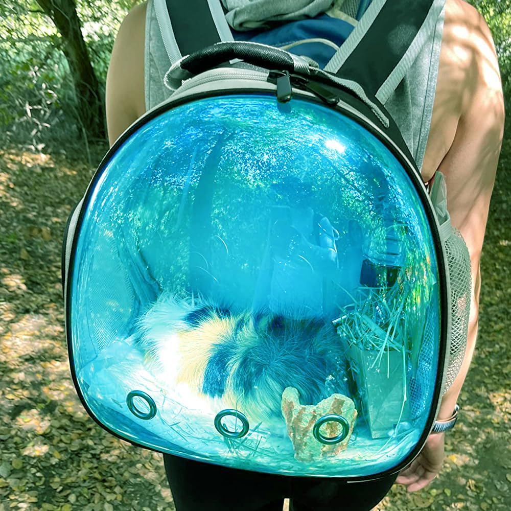 Guinea Pig Carrier, Guinea Pig Backpack with Clear Bubble Window (Black-Blue, Backpack)