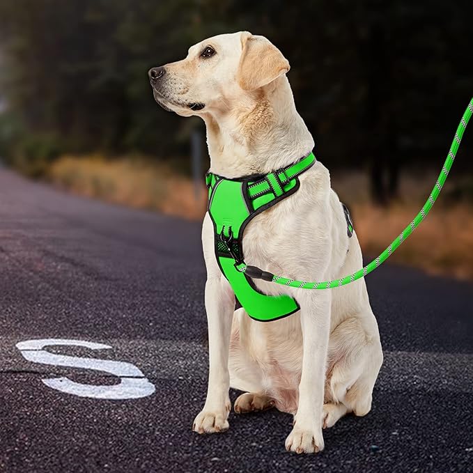 IVY&LANE No Pull Dog Harness for Large Dogs, Dog Vest Harness with Leash, Safety Belt and Storage Strap, Fully Adjustable Harness, 360° Reflective Strip, Soft Handle (Green, L)
