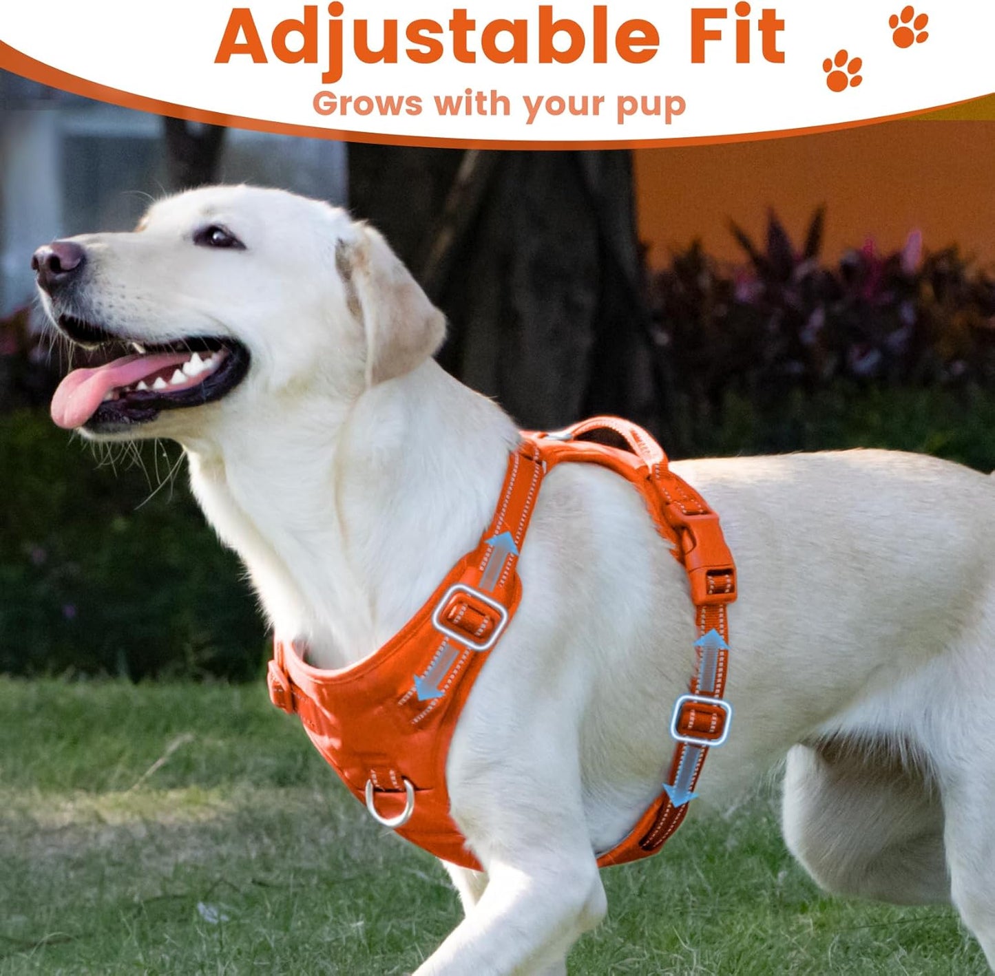 No Pull Dog Harness, Reflective Puppy Vest for Small Medium Large Sized Dog(Orange,XS)