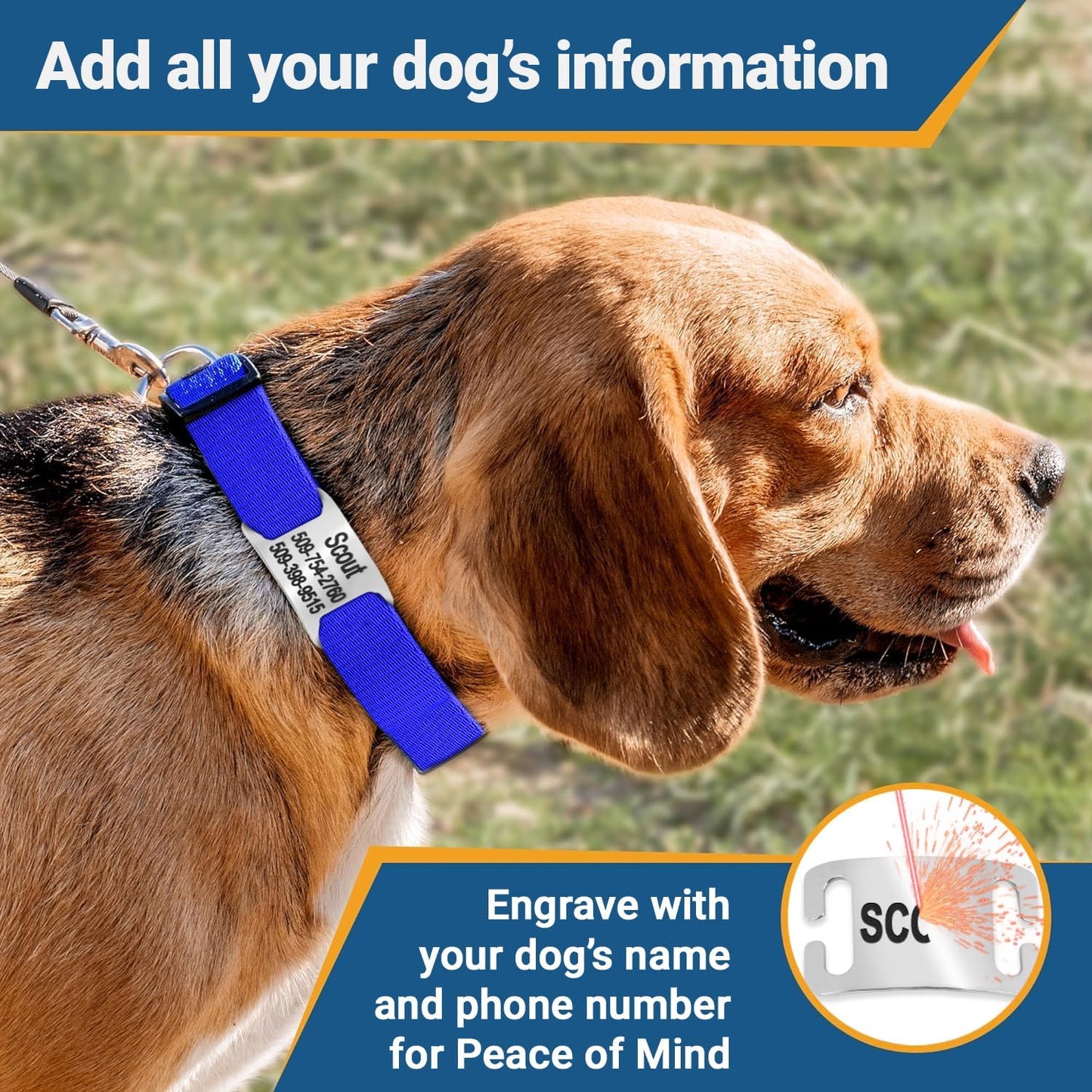 GoTags Personalized Dog Collar with Nameplate, Adjustable Dog Collar with Custom Engraved Slide On Pet ID Tag in Stainless Steel, Silent, No Noise Dog Tag for Large Medium and Small (Orange, Large)