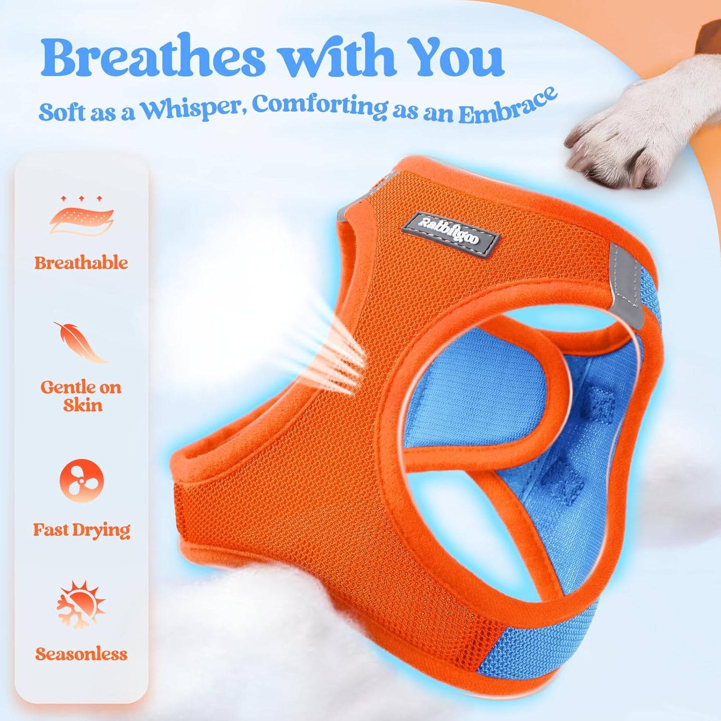 rabbitgoo Dog Harness Medium Sized and Leash Set, Step in Soft Light Puppy Vest, Breathable Mesh Pet Harness, Reflective for Safe Easy Walking, Blue & Orange XXL