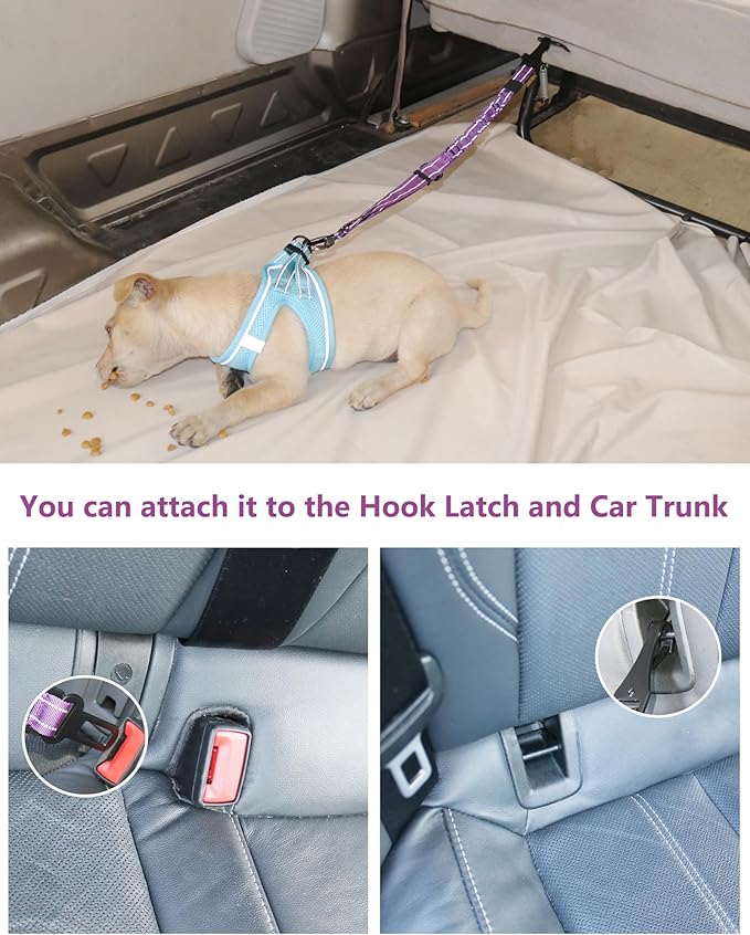 AUBELL Dog Seat Belt for Car,Updated 3-in-1 Adjustable Reflective Bungee Heavy Duty Dog Car Harness Tether with Clip Hook Latch & Buckle,Swivel Zinc Alloy Carabiner,Purple