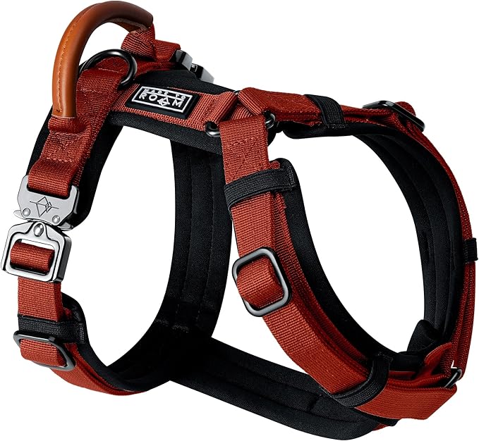 MADE TO ROAM Premium Explorer Harness - Y-Shaped Dog Harness with Adjustable Durable Nylon, Soft Padding, Metal Buckles and Leather Handle for Small, Medium, Large Dogs (Texas Flair, Size 1)
