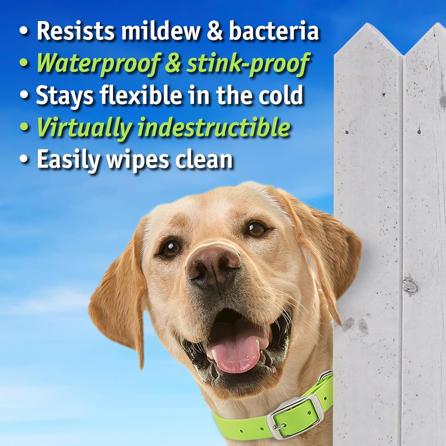 Biothane Custom Dog Collar – Waterproof, Stink-Proof Personalized Collar with Name & Phone Number – Durable, Many Sizes and Colors – Assembled in USA (Royal Blue)