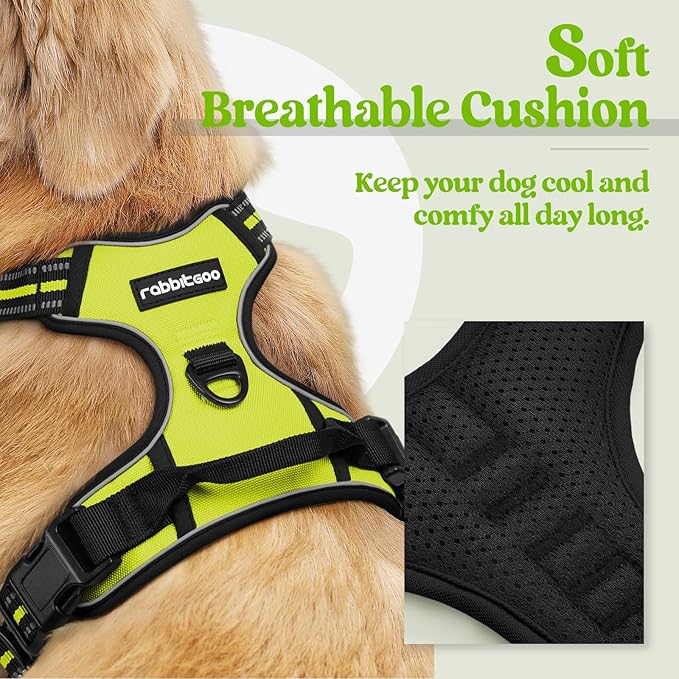 rabbitgoo Dog Harness No Pull with 2 Leash Clips, Adjustable Soft Padded, Reflective Oxford No Choke Pet Vest with Easy Control Handle for Medium Sized Dogs, Green, M