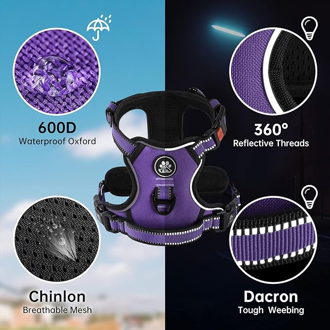 NESTROAD No Pull Dog Harness,Adjustable Oxford Dog Vest Harness with Leash,Reflective No-Choke Pet Harness with Easy Control Soft Handle for Small Dogs(Small,Purple)