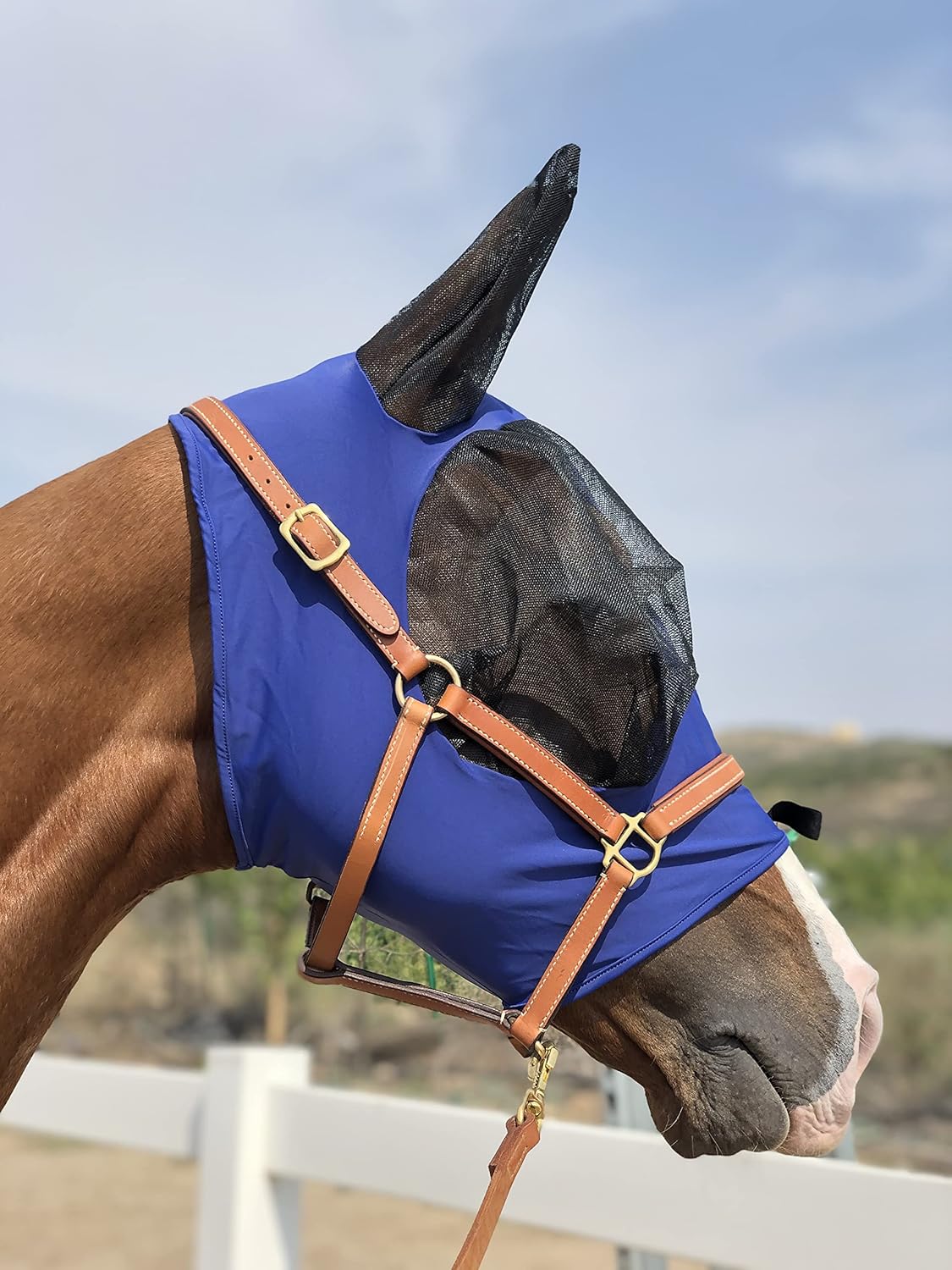 Horse Fly Mask Super Comfort Horse Fly Mask Elasticity Fly Mask with Ears We Only Make Products That Horses Like… (DK Blue, M)