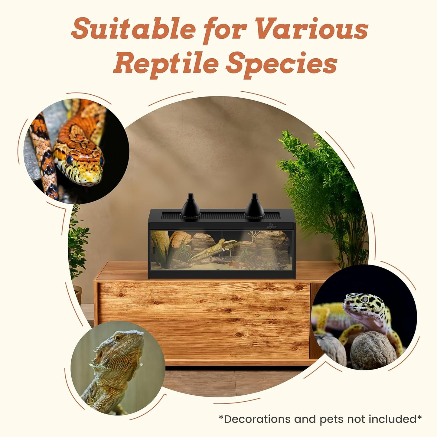 20 Gallon PVC Reptile Enclosure, RepWild 30"x12"x12" Terrarium/Tank with Heavy-Duty Screen Top, Glass Sliding Doors & Lock for Bearded Dragons, Ball Python, Geckos, Lizards