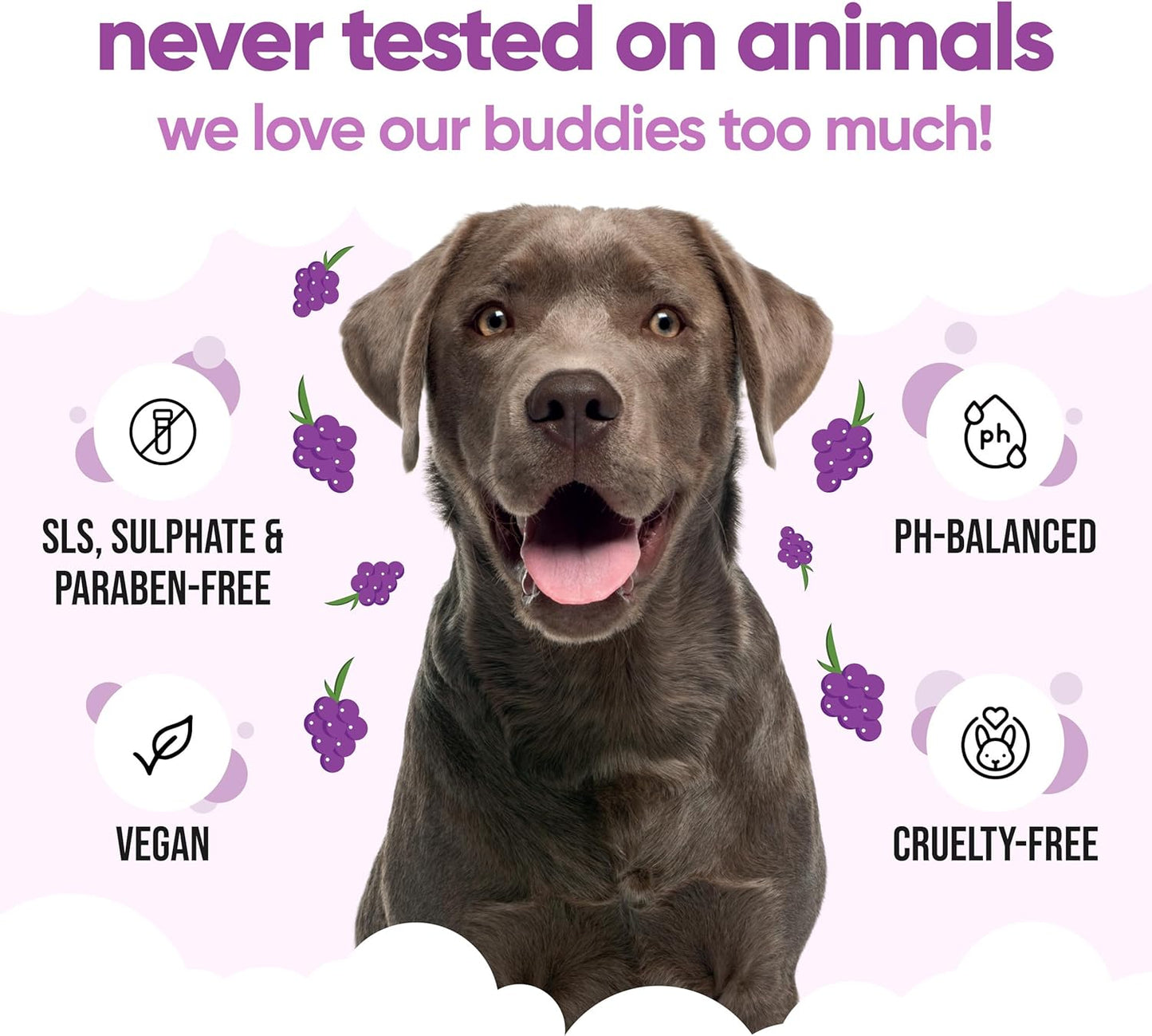 Grape Dog Shampoo by Buddycare | Deep Cleansing Shampoo for Dogs | Fresh Scented | with Aloe Vera and Pro Vitamin B5 (169.07oz)