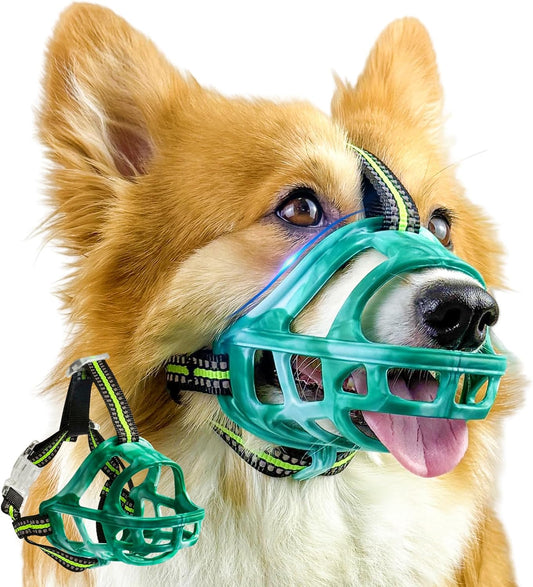 Dog Muzzle, Basket Muzzle for Small Medium Large Dogs, Anti-Biting and Chewing, Lightweight & Sturdy Cage Design, Allows Panting & Drinking, Ideal for Grooming & Training(Green Size M)