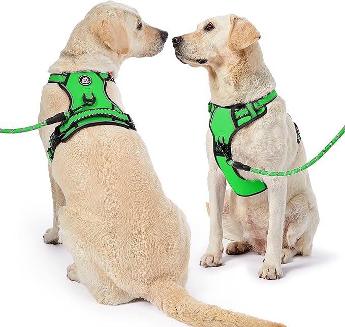 NESTROAD Dog Harness, Adjustable Oxford Harness with Leash, Reflective No-Choke Pet Vest with Easy Control Handle (M, Fluorescent Green)