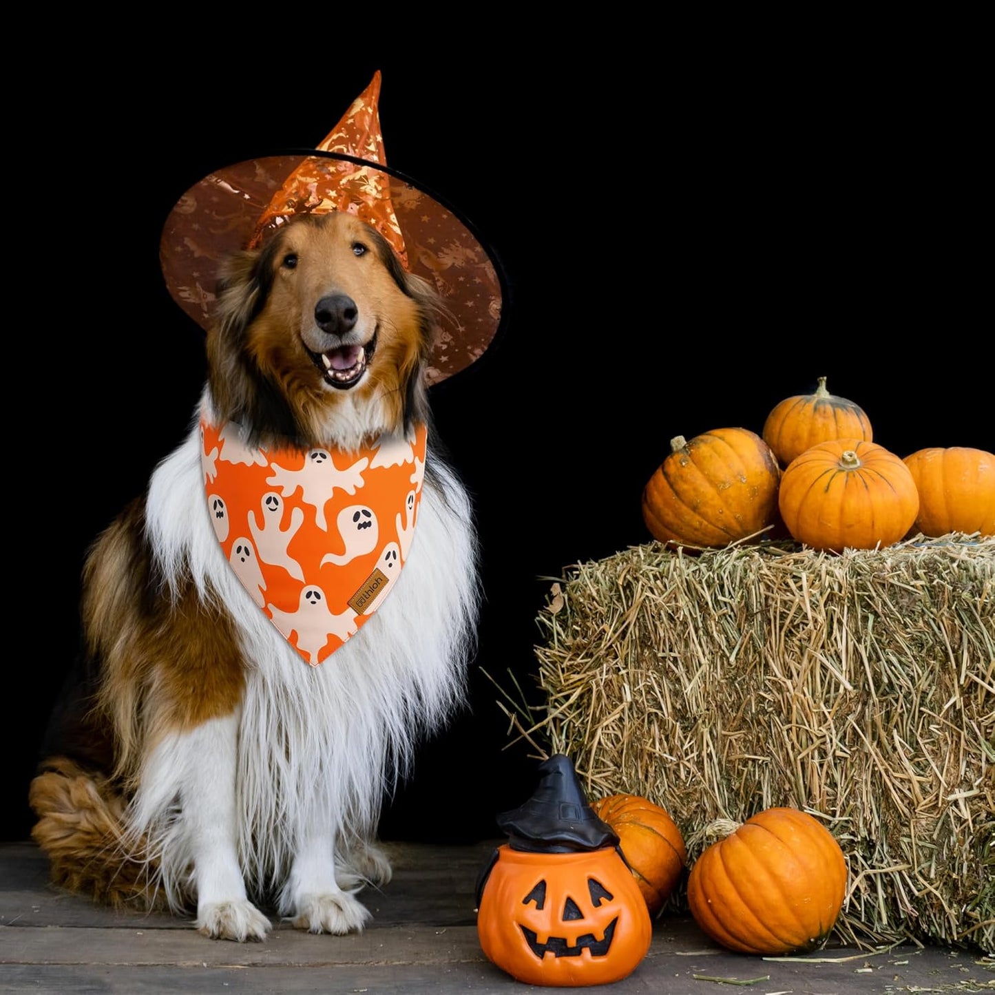 Halloween Dog Bandanas - 2 Pack Fall Dog Bibs | Reversible Pumpkin and Ghost Pet Scarf for Boys and Girls | Premium Durable Fabric | Orange Dog Bandana for Large and Extra Large Dogs (X-Large)