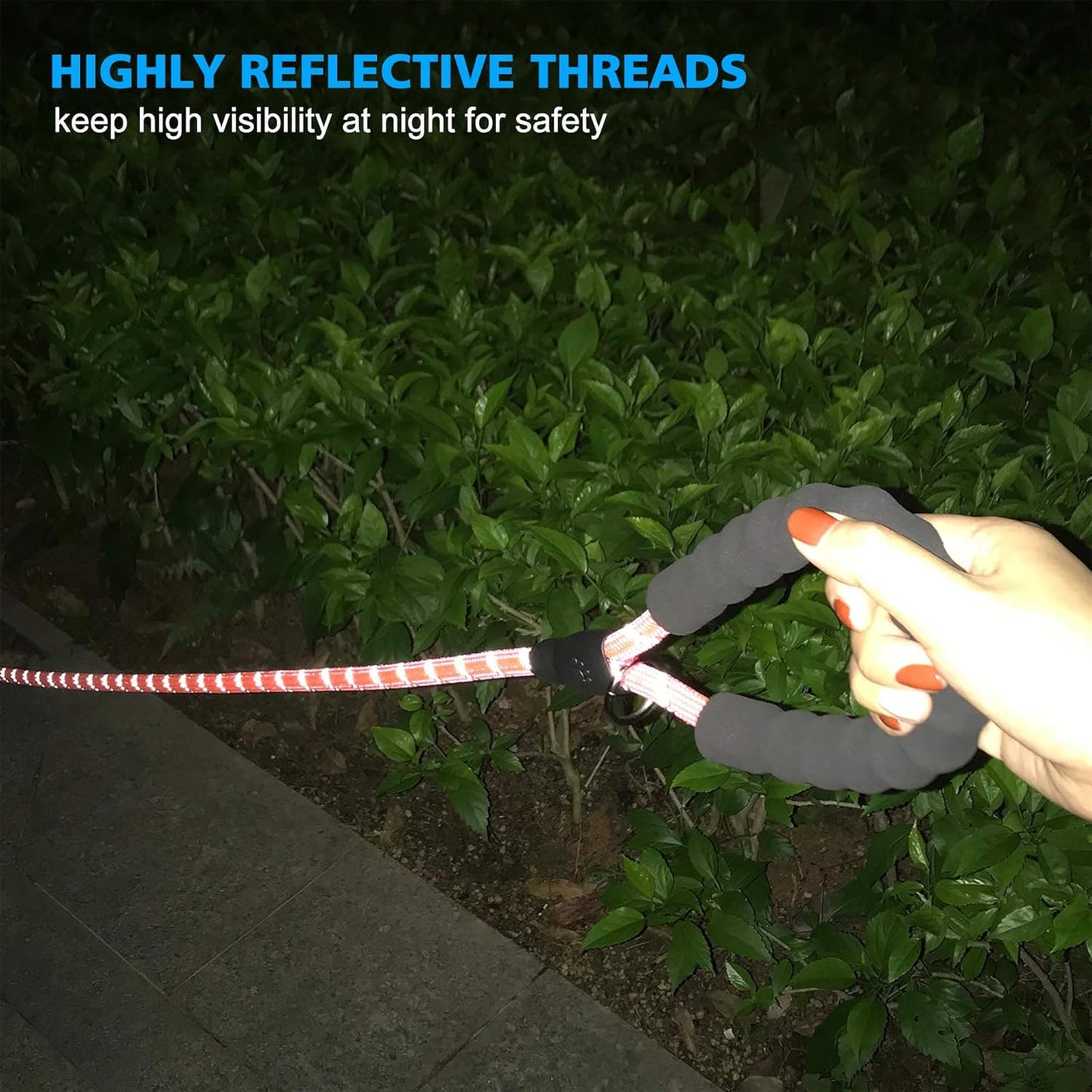 Heavy Duty Dog Leash - Comfortable Padded Handle, 5 ft Long - Dog Leashes for Small Medium Large Dogs (Leash+Collar M Neck 16"-20", Pink)