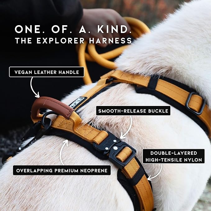 MADE TO ROAM Premium Explorer Harness - Y-Shaped Dog Harness with Adjustable Durable Nylon, Soft Padding, Metal Buckles and Leather Handle for Small, Medium, Large Dogs (California Horizon, Size 7)