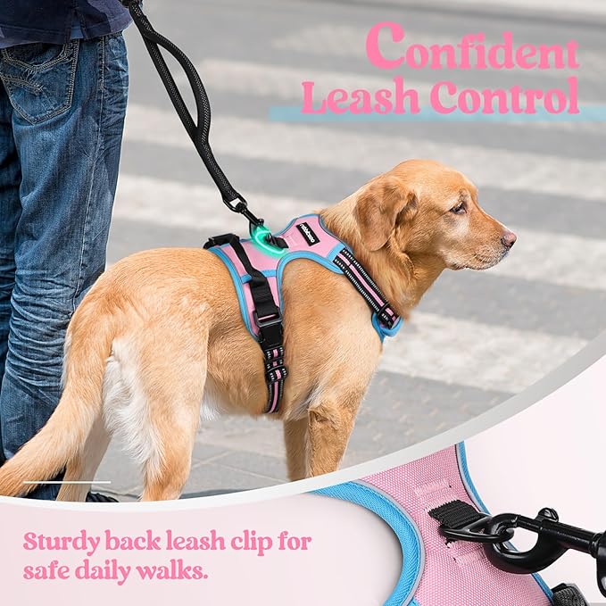 rabbitgoo Dog Harness No Pull with 2 Leash Clips, Adjustable Soft Padded, Reflective Oxford No Choke Pet Vest with Easy Control Handle for Large Dogs, Pink & Blue, XL