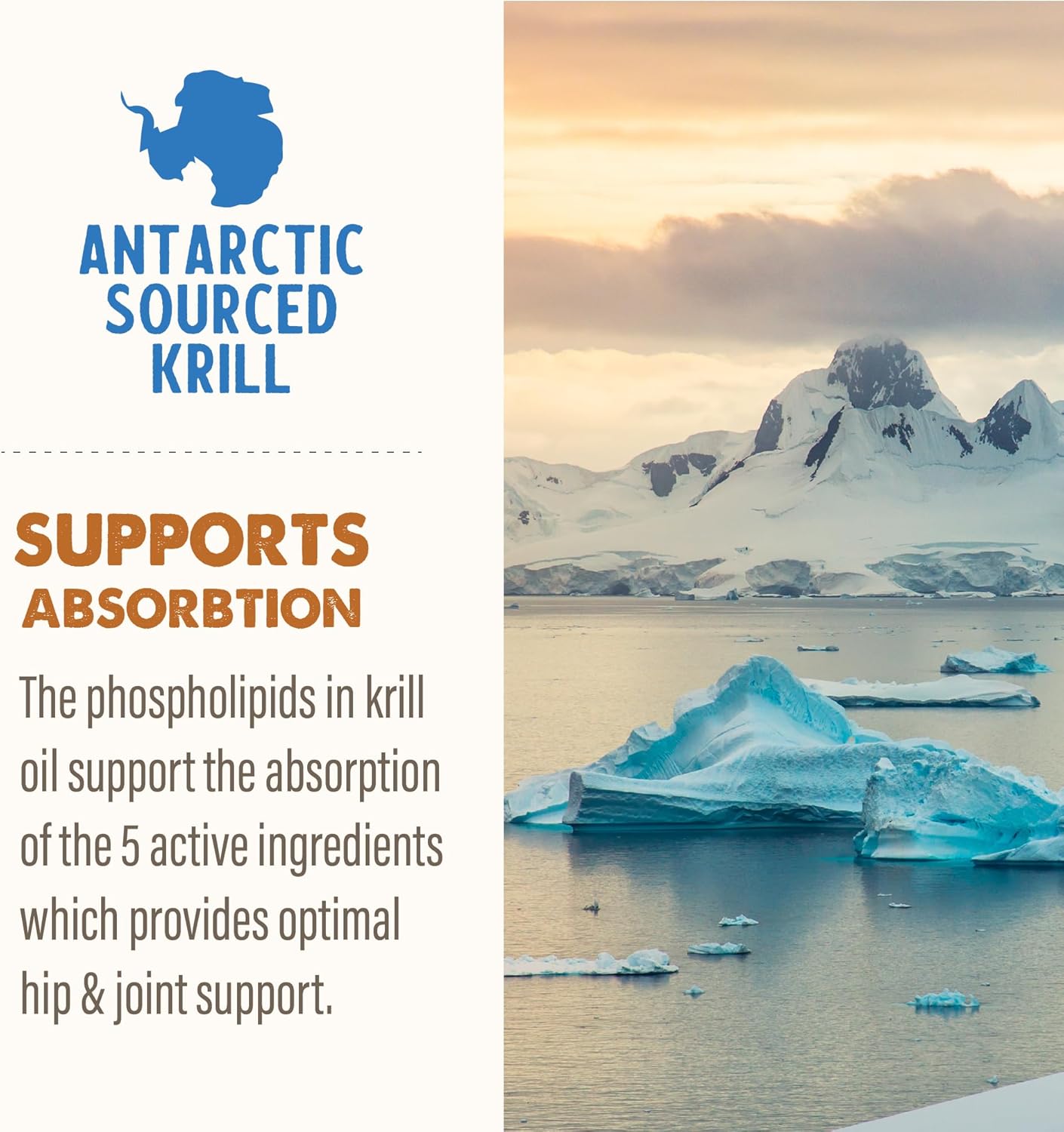 GRIZZLY PET PRODUCTS Joint Aid Liquid Hip and Joint Health Supplement Product for Dogs and Cats, 16 Ounce