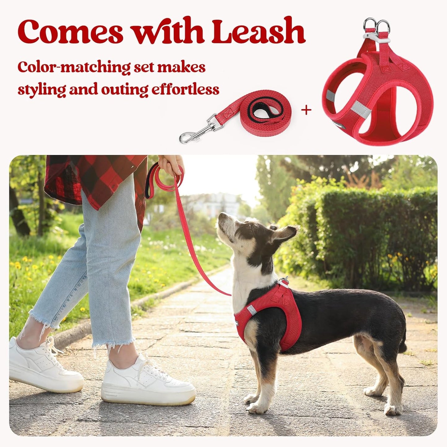 rabbitgoo Dog Harness Small Sized and Leash Set, Step in Soft Light Puppy Vest, Breathable Mesh Pet Harness, Reflective for Safe Easy Walking, Red XS