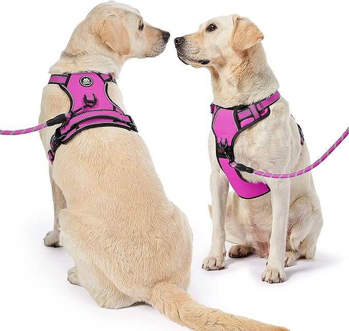 NESTROAD No Pull Dog Harness,Adjustable Oxford Dog Vest Harness with Leash,Reflective No-Choke Pet Harness with Easy Control Soft Handle for Small Medium Dogs(Medium,Fuchsia Pink)