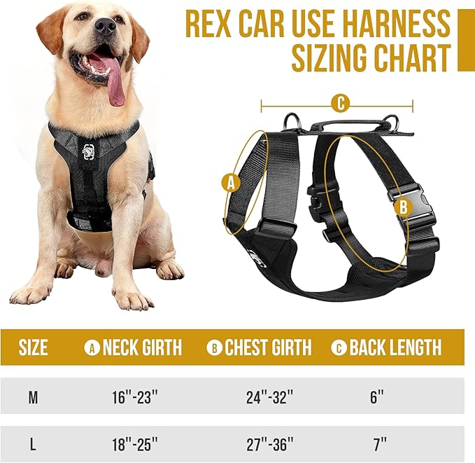 OneTigris Dog Safety Vest Harness, REX Car Use Dog Harness Adjustable Pet Harness with Leash for Medium Large Dogs(Black,M)