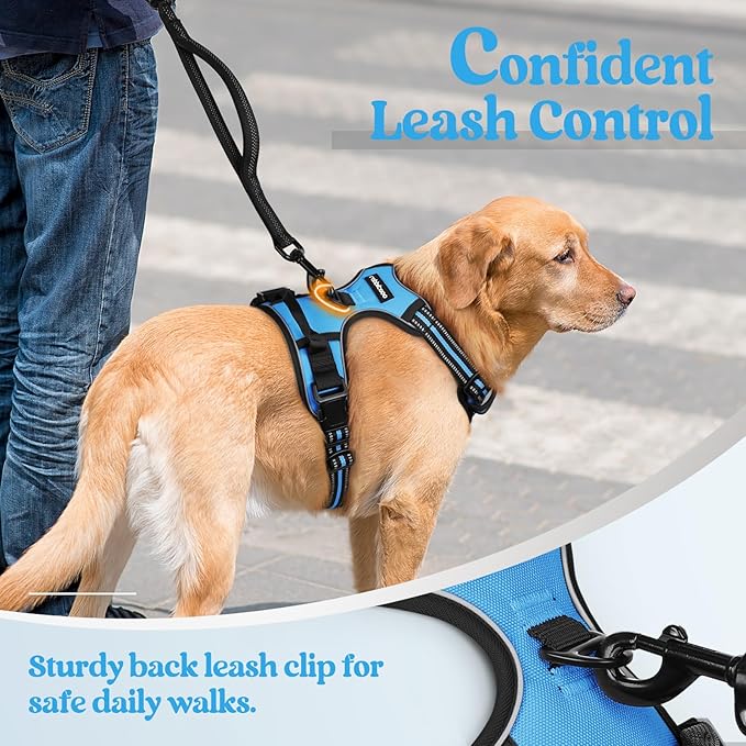 rabbitgoo Dog Harness No Pull with 2 Leash Clips, Adjustable Soft Padded, Reflective Oxford No Choke Pet Vest with Easy Control Handle for Medium Sized Dogs, Blue, M