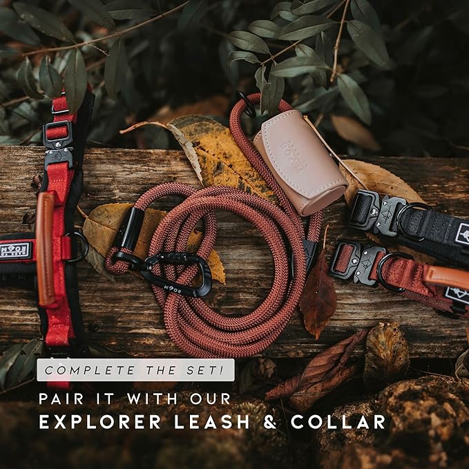 MADE TO ROAM Premium Explorer Harness - Y-Shaped Dog Harness with Adjustable Durable Nylon, Soft Padding, Metal Buckles and Leather Handle for Small, Medium, Large Dogs (Florida Seaside, Size 2)