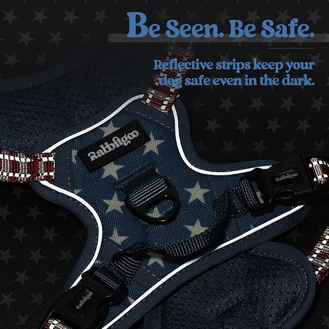 rabbitgoo Dog Harness No Pull with 2 Leash Clips, Adjustable Soft Padded, Reflective Oxford No Choke Pet Vest with Easy Control Handle for Large Dogs, Blue Star, XS