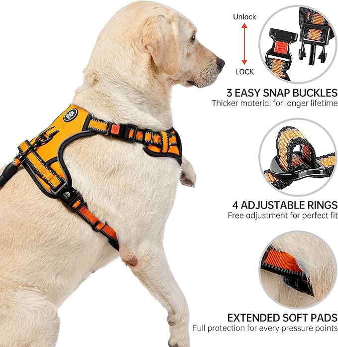 NESTROAD No Pull Dog Harness,Adjustable Oxford Dog Vest Harness with Leash,Reflective No-Choke Pet Harness with Easy Control Soft Handle for Small Dogs(Small,Orange)