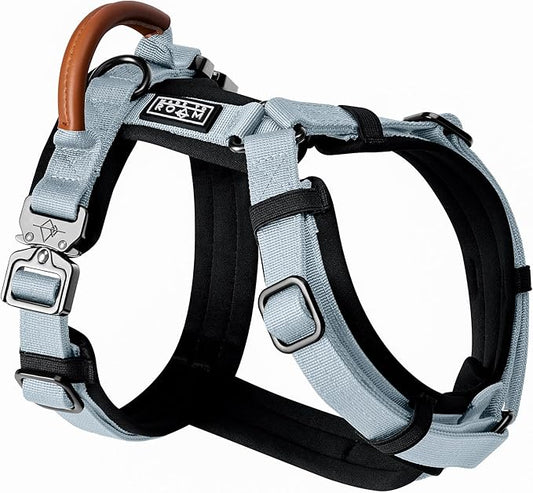 MADE TO ROAM Premium Explorer Harness - Y-Shaped Dog Harness with Adjustable Durable Nylon, Soft Padding, Metal Buckles and Leather Handle for Small, Medium, Large Dogs (Alaska Daybreak, Size 7)