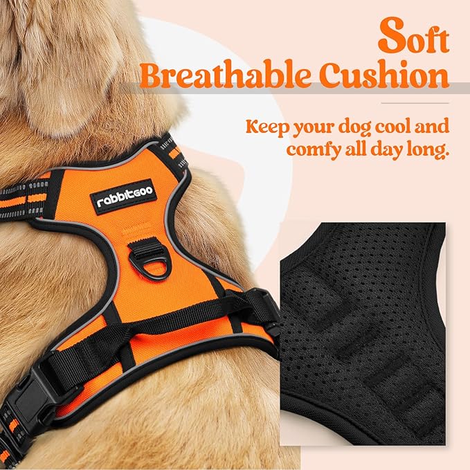 rabbitgoo Dog Harness No Pull with 2 Leash Clips, Adjustable Soft Padded, Reflective Oxford No Choke Pet Vest with Easy Control Handle for Medium Sized Dogs,Orange, M