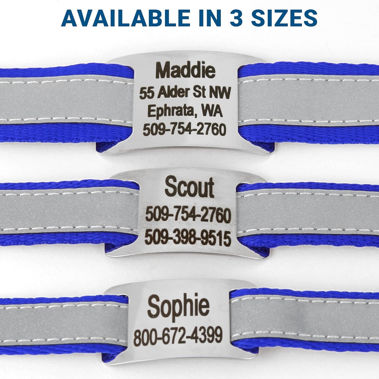 GoTags Reflective Personalized Dog Collar with Nameplate, Adjustable Dog Collar with Custom Engraved Steel Slide On Pet ID Tag, Silent, No Noise Dog Tag for Large Medium or Small (Blue, Large)