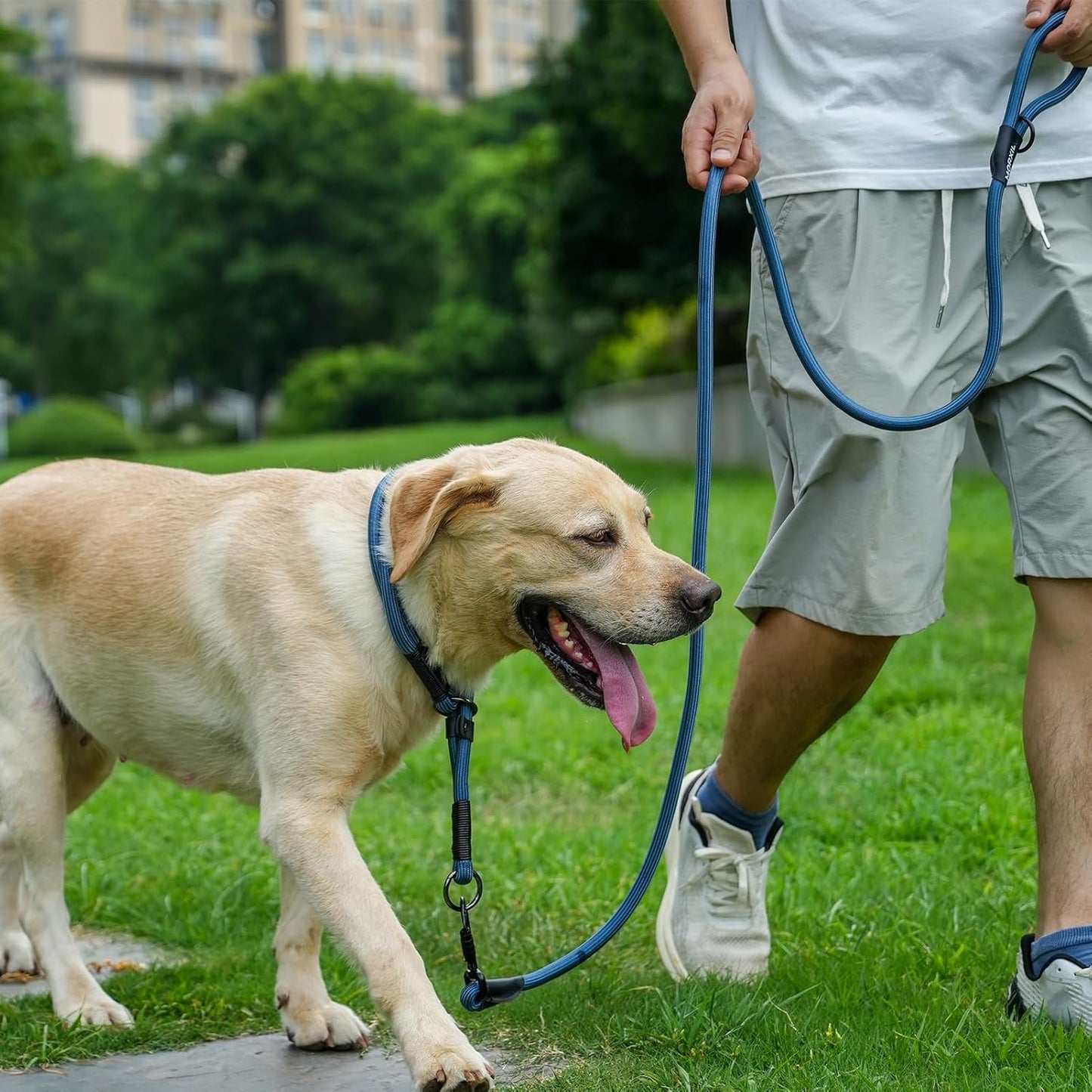 Rope Dog Leash, 6 Foot Heavy Duty Dog Leash with Aviation Aluminum Auto Locking Carabiner, Strong Nylon Pet Lead for Small, Medium, Large Dogs (Navy Blue, 6FT)