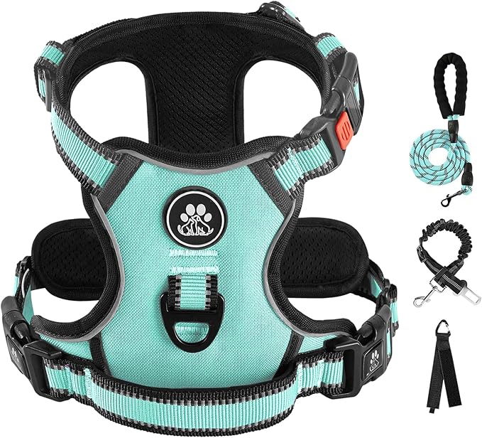 IVY&LANE No Pull Dog Harness with Leash Set, Reflective No Choke Pet Vest,Adjustable Oxford Dog Vest Harness with Easy Control Handle for Small Dogs (Turquoise,S)