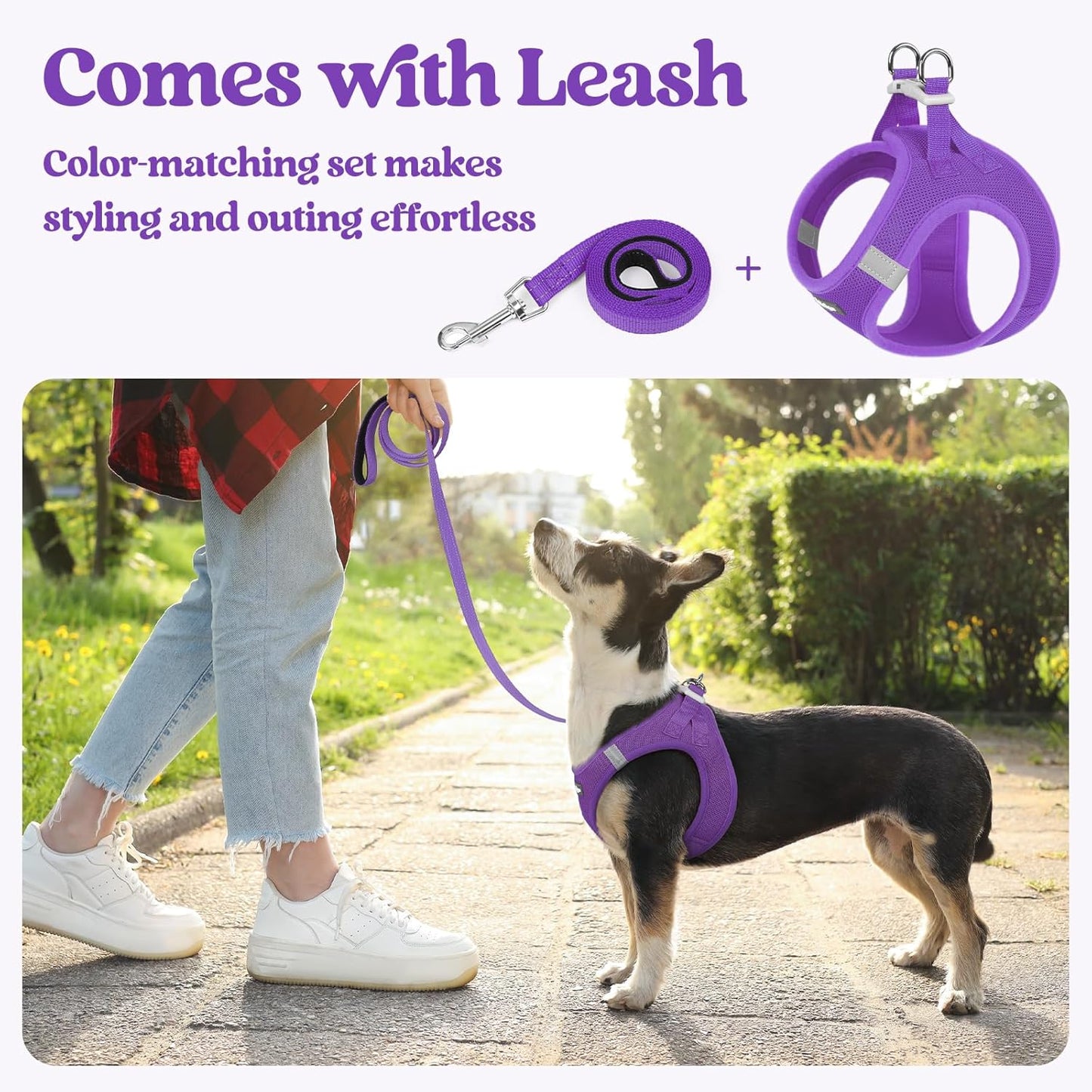 rabbitgoo Dog Harness Small Sized and Leash Set, Step in Soft Light Puppy Vest, Breathable Mesh Pet Harness, Reflective for Safe Outdoor Walking, Purple S