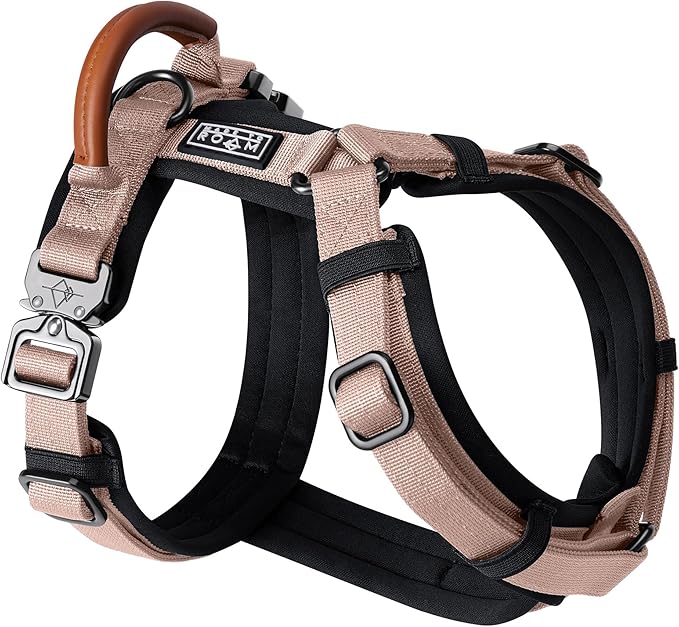 MADE TO ROAM Premium Explorer Harness - Y-Shaped Dog Harness with Adjustable Durable Nylon, Soft Padding, Metal Buckles and Leather Handle for Small, Medium, Large Dogs (Utah Glow, Size 3)