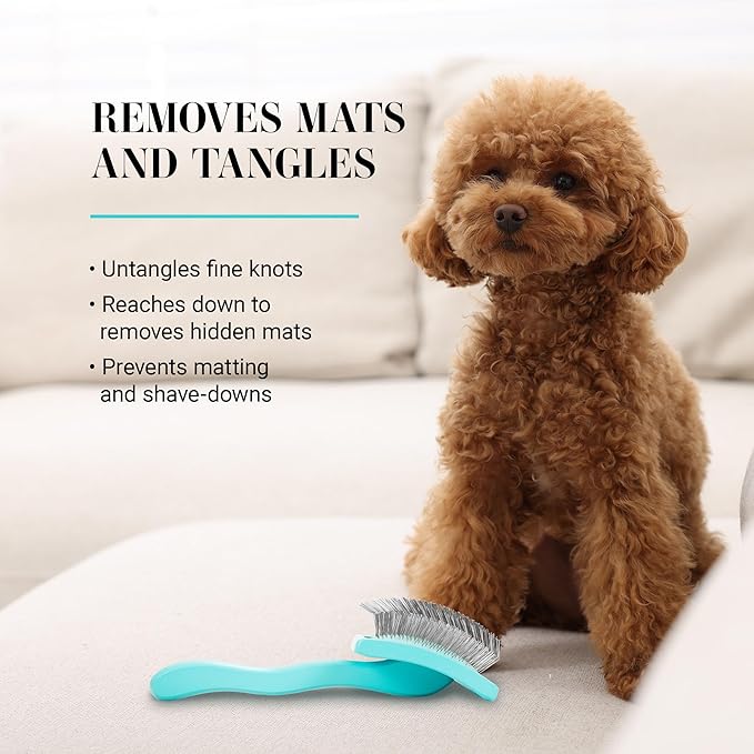 Chris Christensen Big G Dog Slicker Brush for Dogs (Goldendoodles, Labradoodles, Poodles), Groom Like a Professional, Fluff Detangle Style, Saves Time Energy, Teal, Large