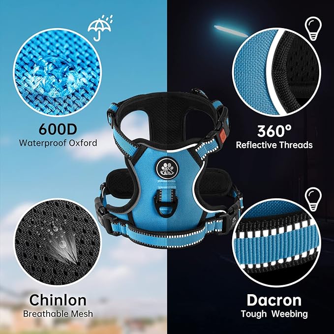 NESTROAD No Pull Dog Harness,Adjustable Oxford Dog Vest Harness with Leash,Reflective No-Choke Pet Harness with Easy Control Soft Handle for Small Dogs(X-Small,Blue)