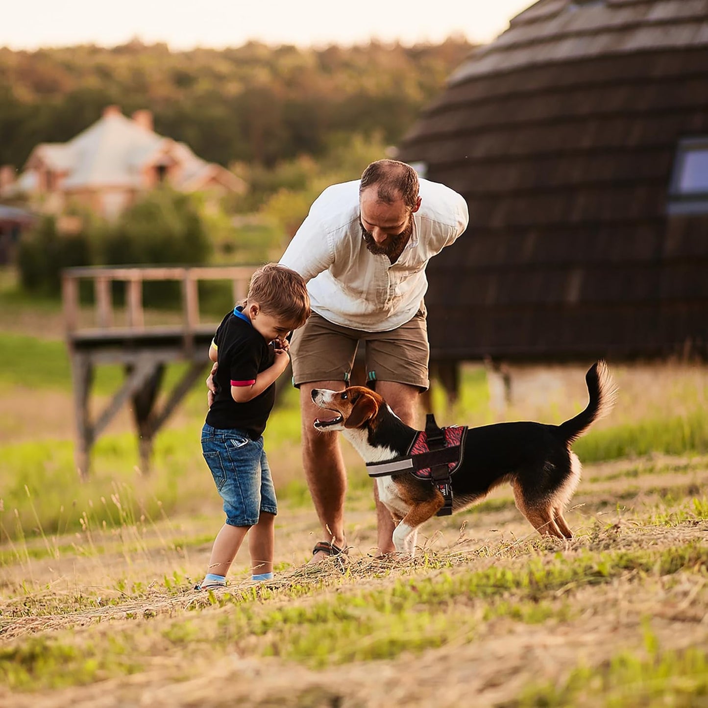 Dogline Dog Harness, Reflective No-Pull Adjustable Vest with Handle for Walking, Training, Breathable, No - Choke Harness for Small, Medium or Large Dogs Room for Patches Zebra Black/Red L 27"-34"