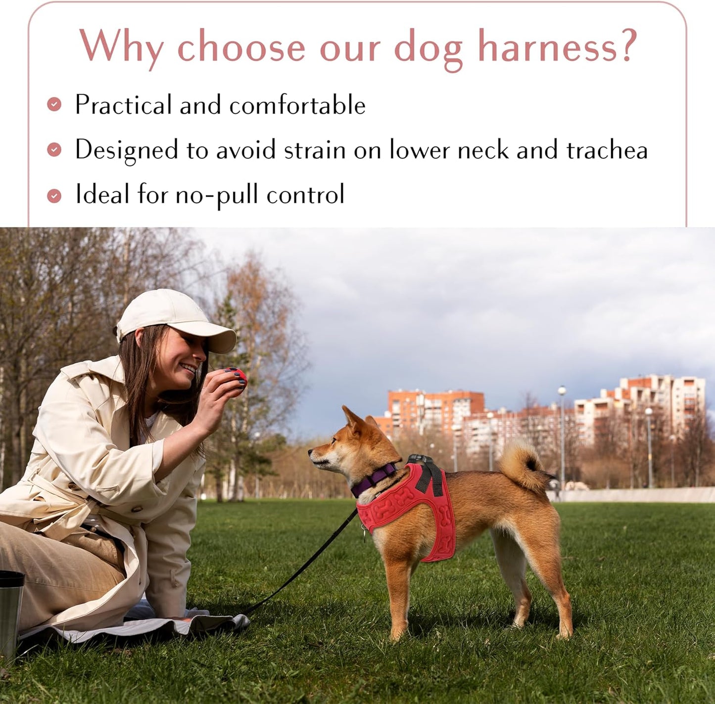 Comfort fit Step-in Dog & Puppy Harness - Comfortable All Weather Dog Vest Harness: Adjustable, Soft Padded, Easy to Put-on for Small, Medium-Sized Dogs.