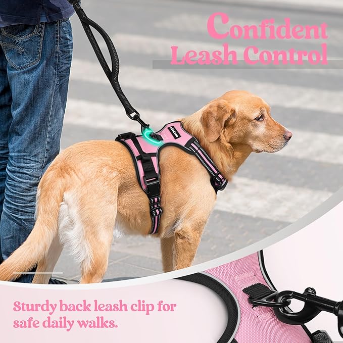 rabbitgoo Dog Harness No Pull with 2 Leash Clips, Adjustable Soft Padded, Reflective Oxford No Choke Pet Vest with Easy Control Handle for Large Dogs, Pink, L