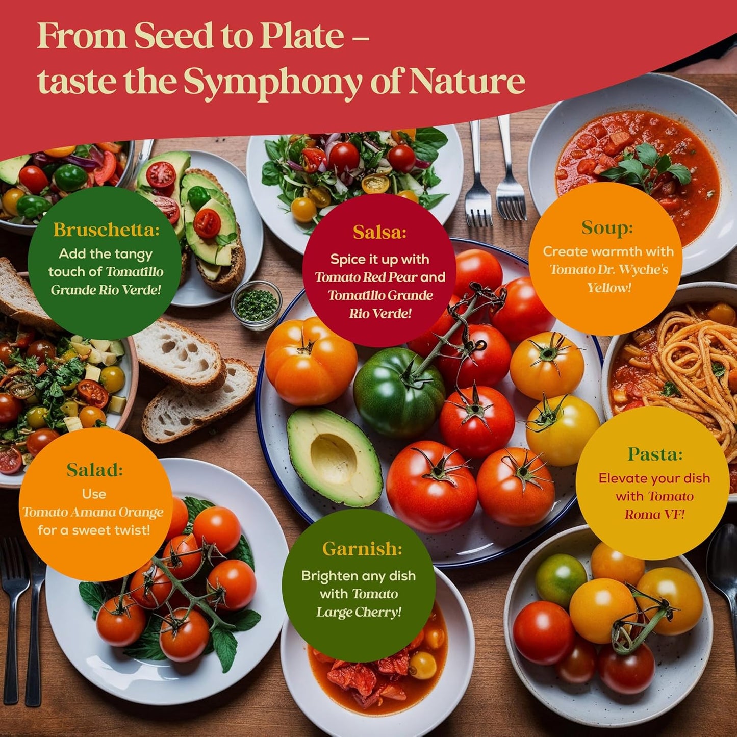 14 Tomatillo & Tomato Seeds for Planting Variety Pack - 990+ Non-GMO Heirloom Vegetable Seeds for Growing Tomato Indoor & Outdoor: Cape Gooseberry, Cherry, Flame, Roma, Beefsteak Tomatoes